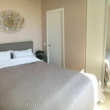 Delaup Apartment Cannes